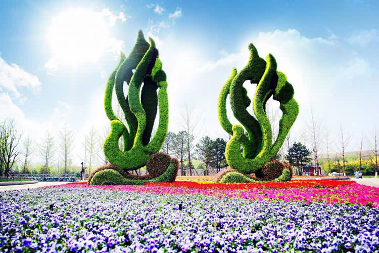 五一节五色草造型