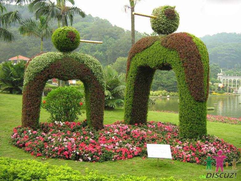 西安五色草造型